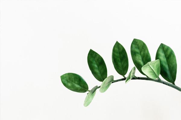 怎樣調節環(huán)保污泥干化機的溫度差甫谱？